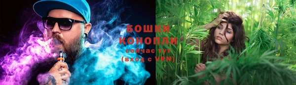ECSTASY Богородицк