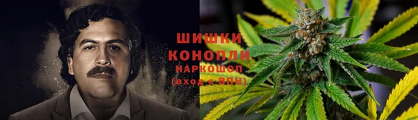 кокаин Богданович
