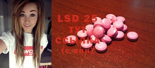 ECSTASY Богородицк