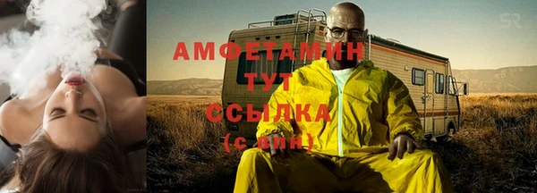ECSTASY Богородицк
