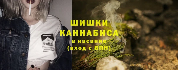 ECSTASY Богородицк